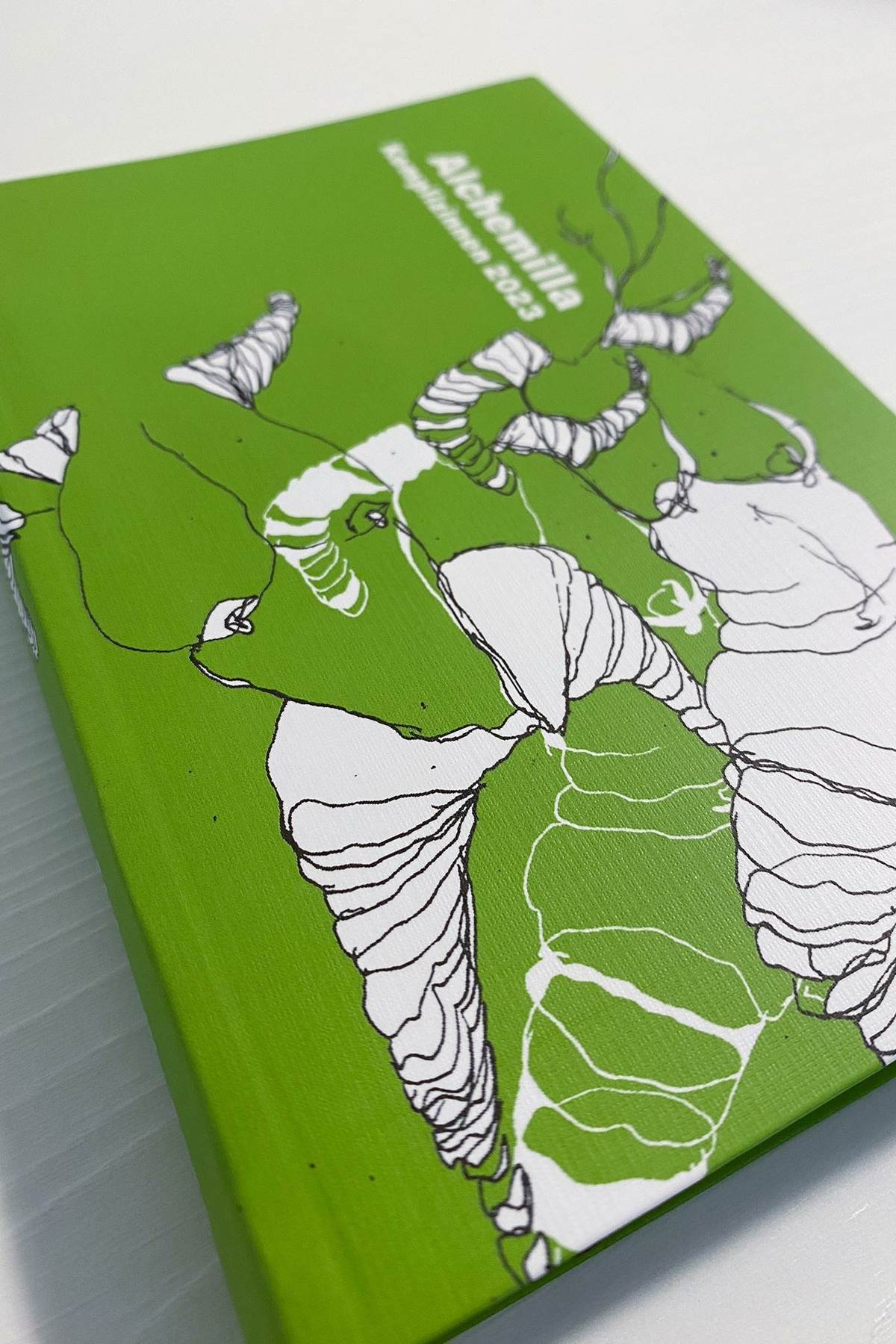 Alchemilla Frauenkalender 2022/2023 (drawings / graphic design)