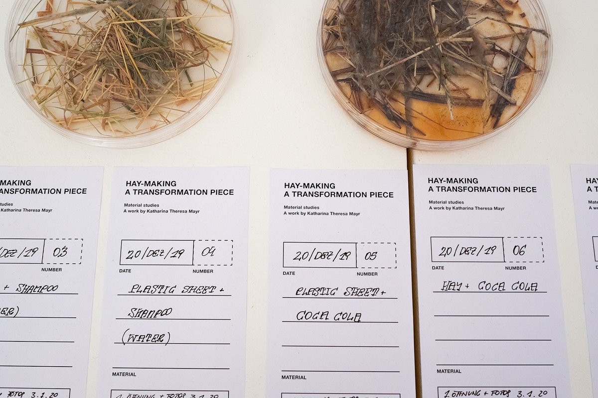 Hay-making – A transformation piece 2019 – 2020 (installation)
