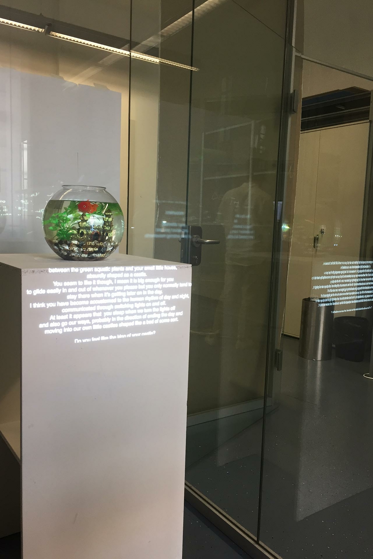 An Animal Reading. Encounters with a gold fish. 2019 (written matter / installation)