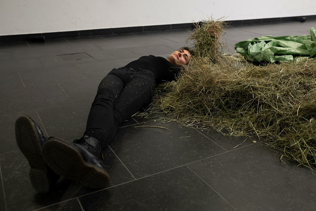 Hay-making – A transformation piece 2019 – 2020 (performances)