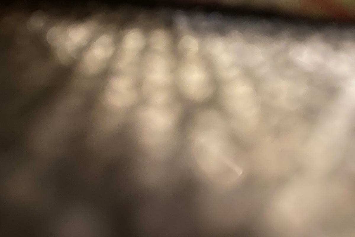 Interlayered human being represented by furniture fabric structure 2020 (photography)