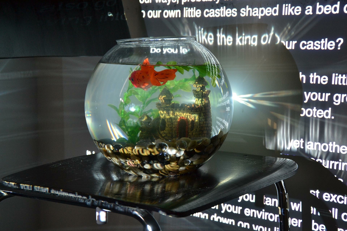 An Animal Reading. Encounters with a gold fish. 2019 (written matter / installation)