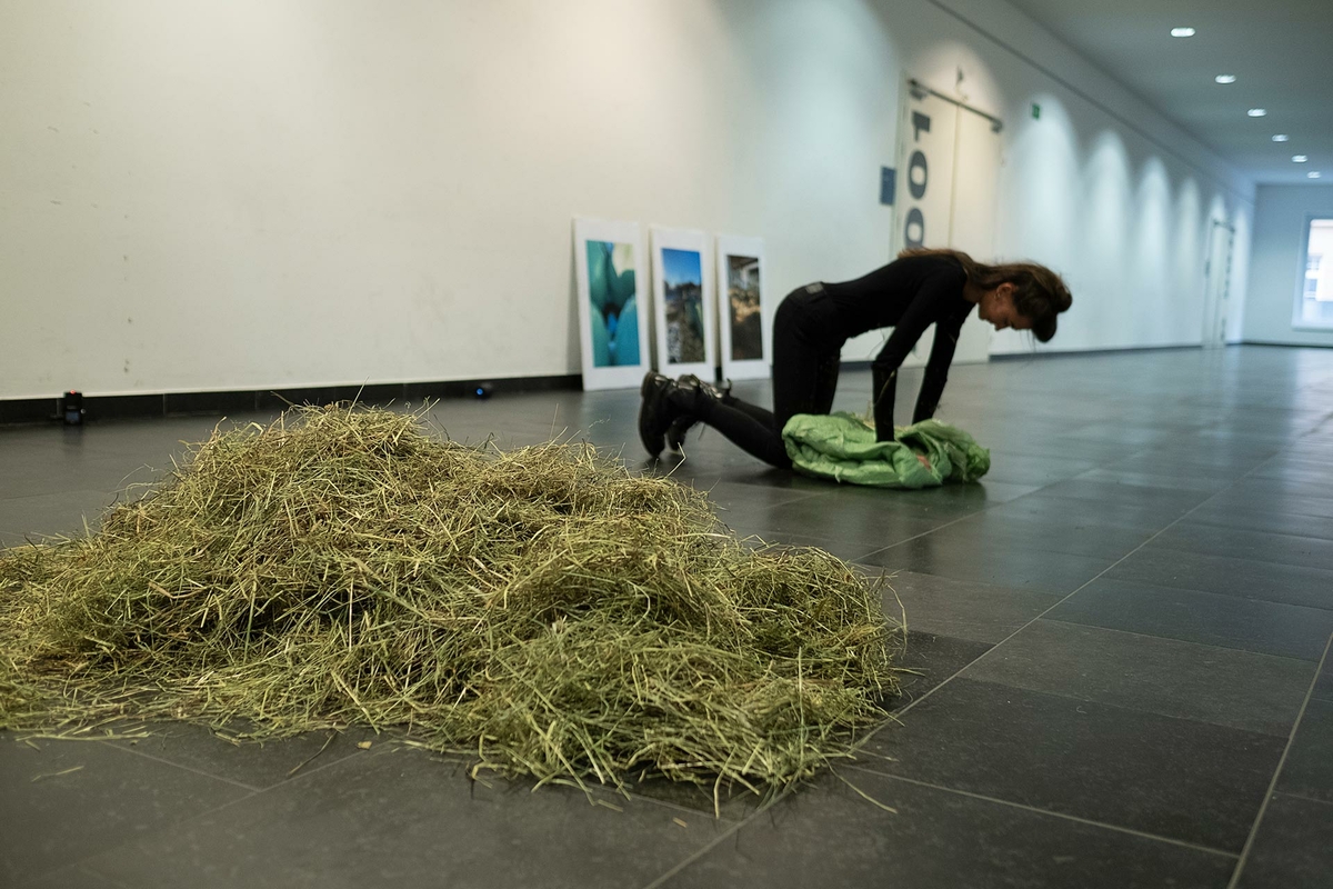 Hay-making – A transformation piece 2019 – 2020 (performances)