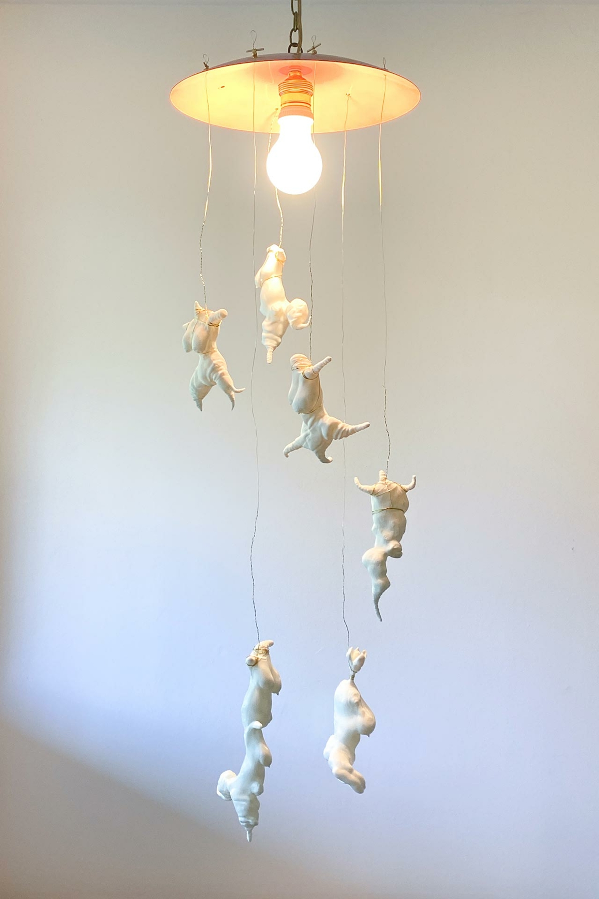 Motten im Licht 2022/2023 (installation / conceptual work)